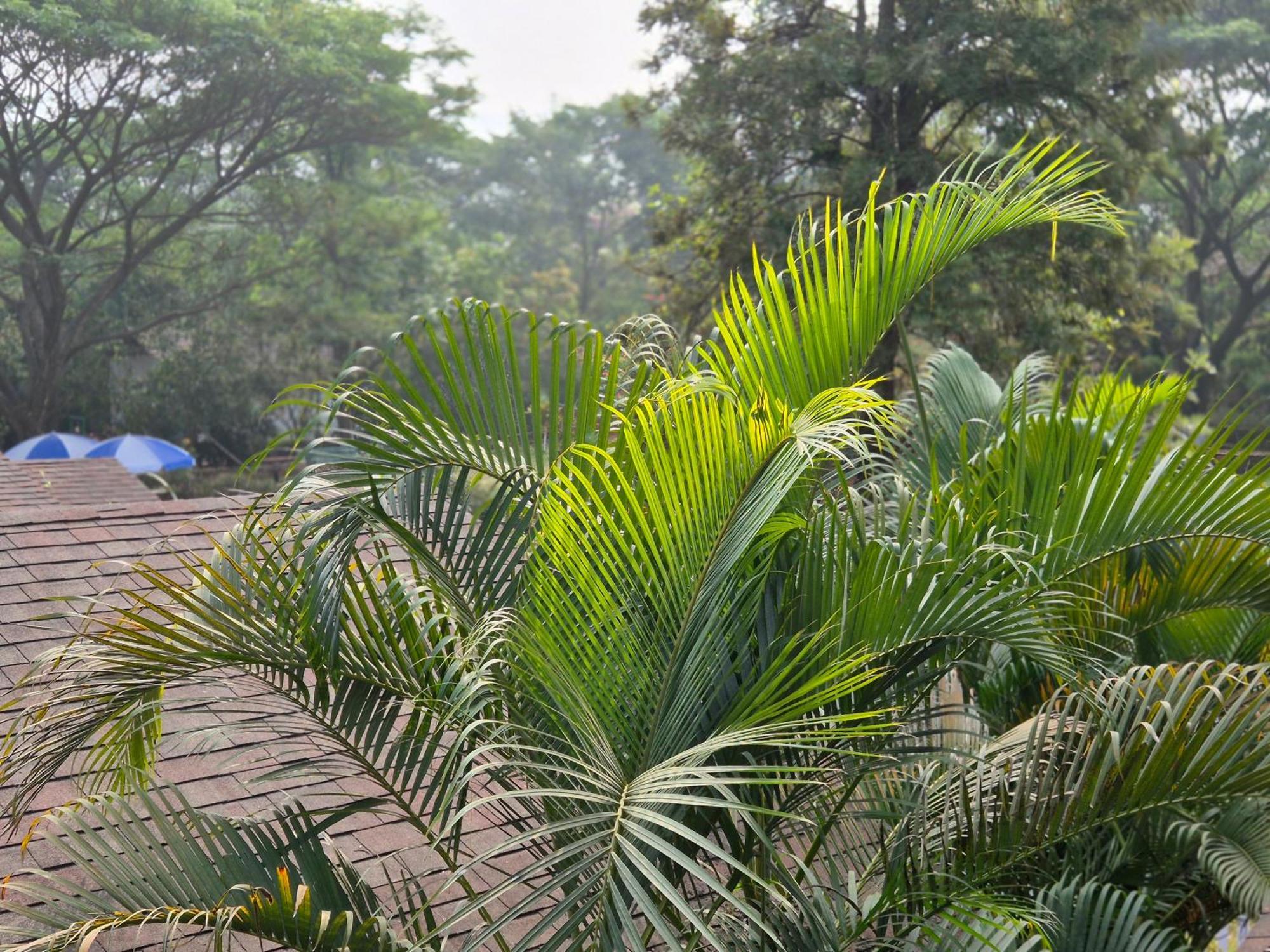 Camp Temgarh Hotell Lavasa Exteriör bild